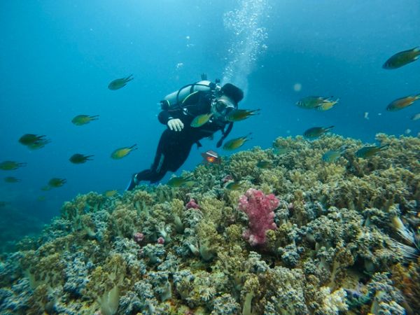 Nha Trang Snorkeling Tour BBQ Onboard